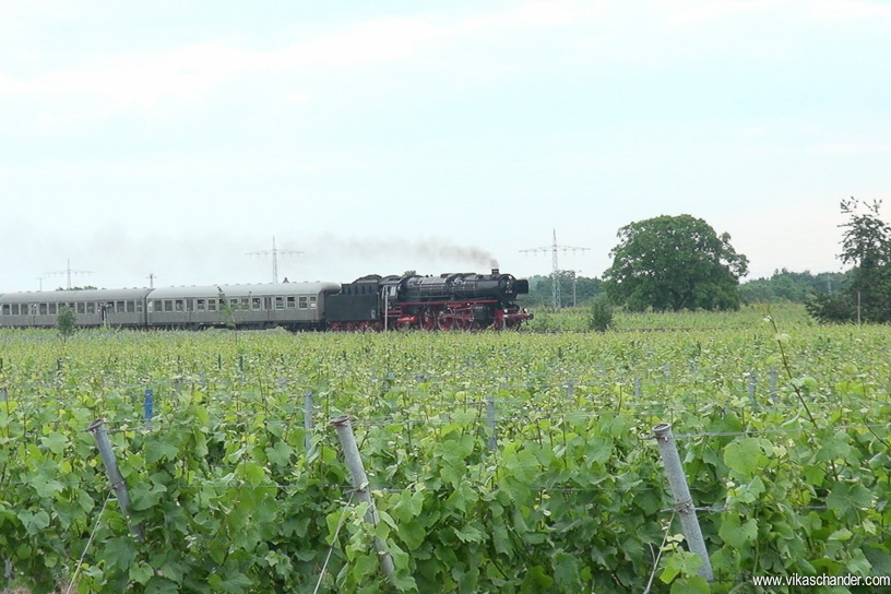 DS 2014 blog - BR 01 202 passing thru the vineyards near Maikammer