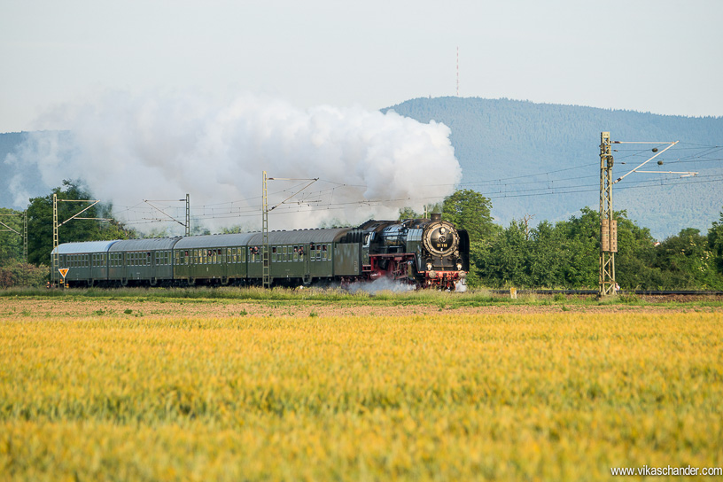 DS 2014 blog - On day 2, BR 01-118 hauls the 0635 to Darmstadt Kranichstein ..... here seen in the fields of Hassloch near Neustadt