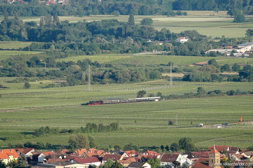 DS 2014 blog - View towards Maikammer from the Hambach castle