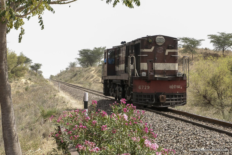 Shekhawati Express blog - A light loco heads towards Churu