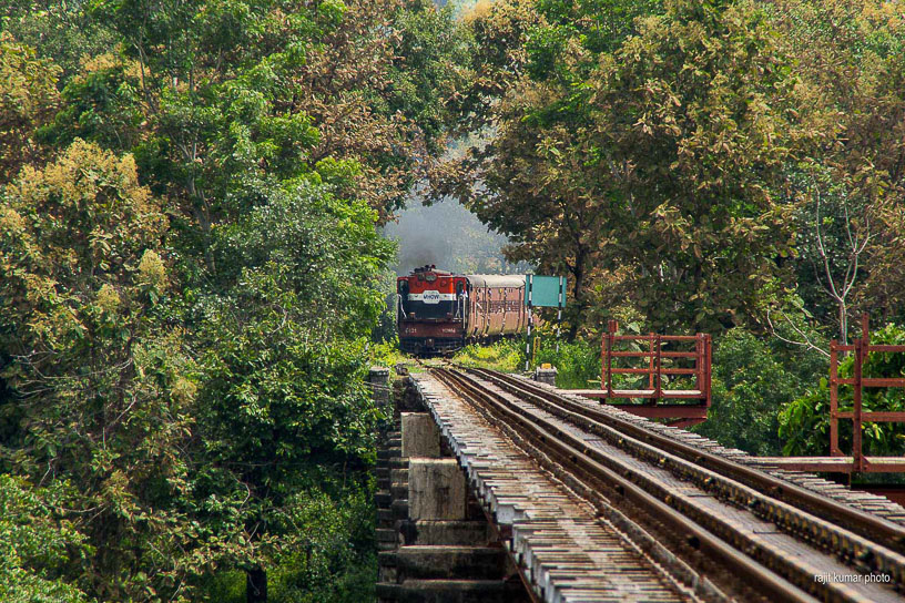 Train to Patalpani blog photo 51 - After looping around the spiral Train 52973 emerges through the forest and onto the viaduct